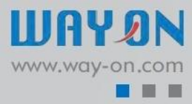 WAY ON 维安